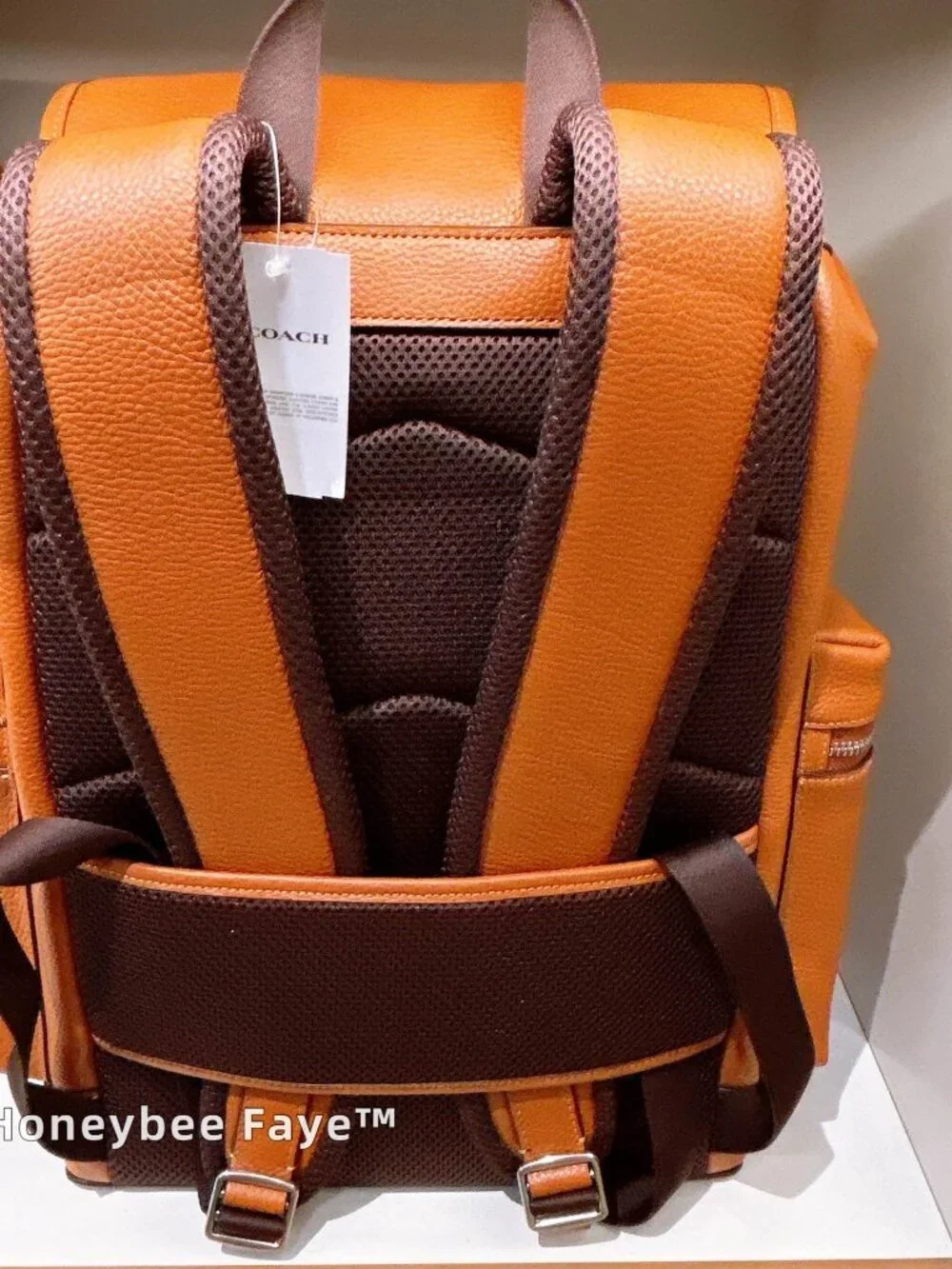 Sprint Backpack CET18